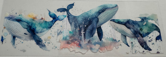 Whale 16oz Uv DTF Wrap