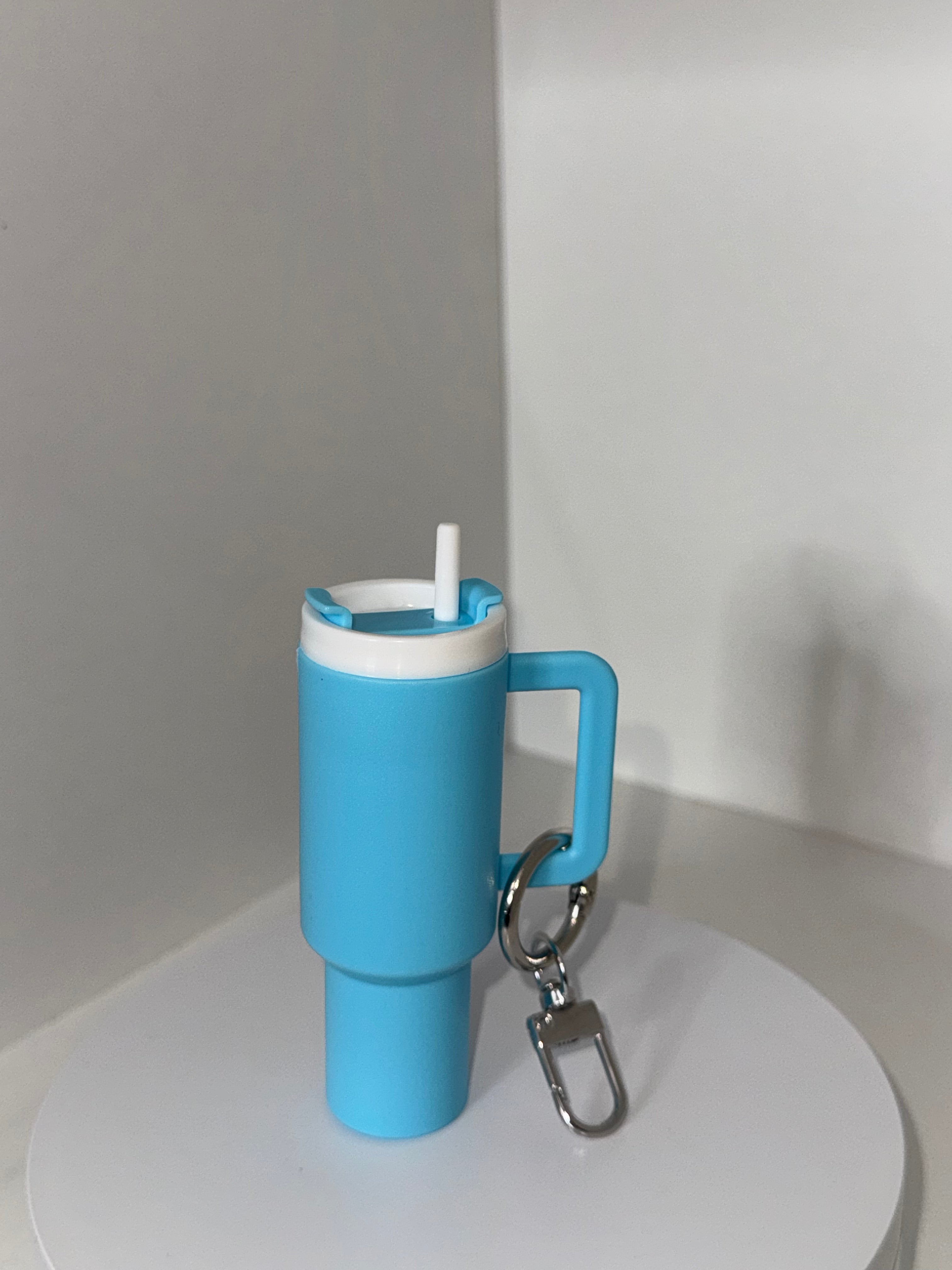 Tumbler Key Ring