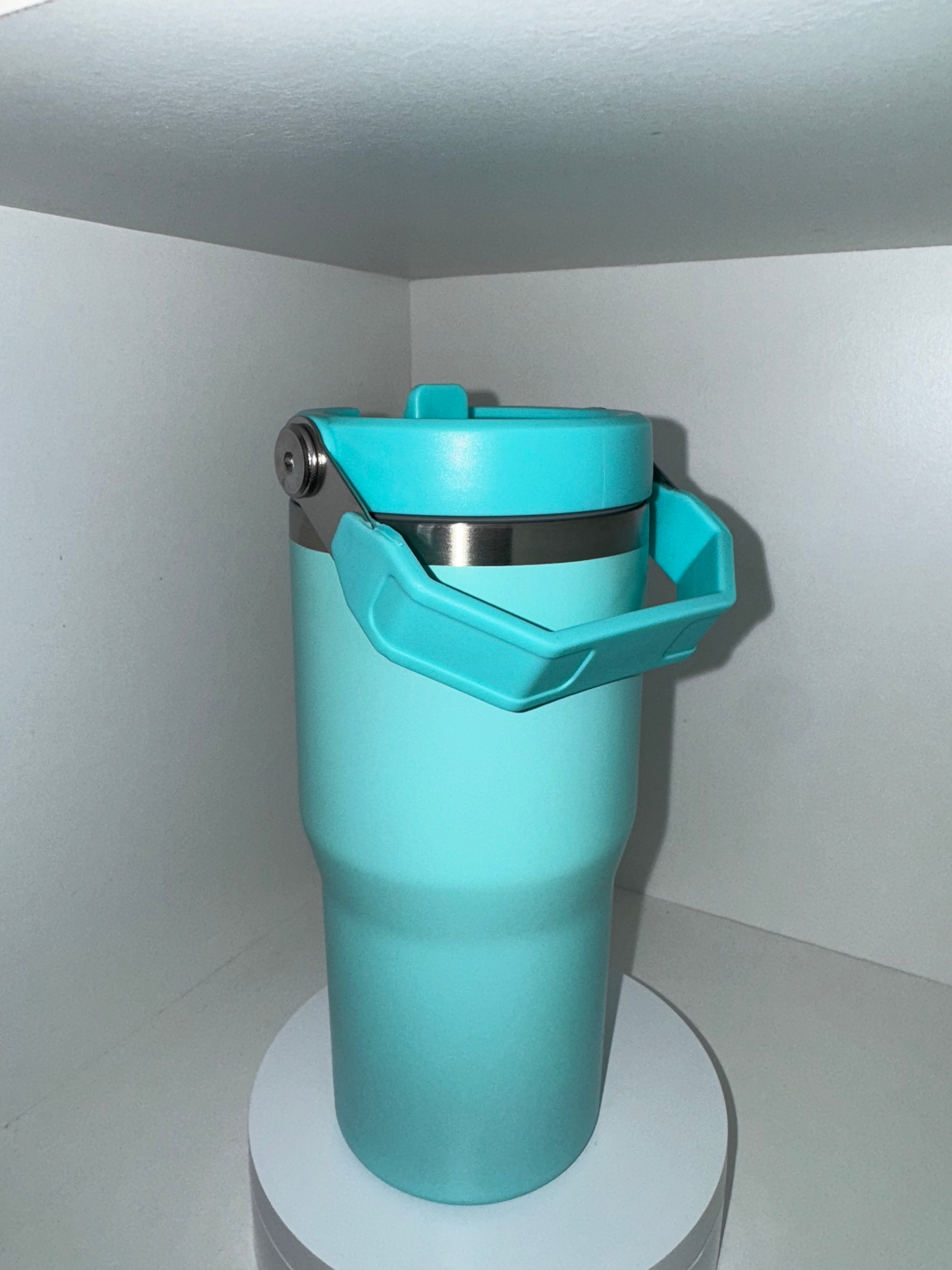 20oz Stainless steel handle water bottle