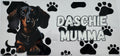 Daschie Mumma 16oz Uv DTF Wrap