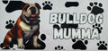 Bulldog Mumma 16oz Uv DTF Wrap