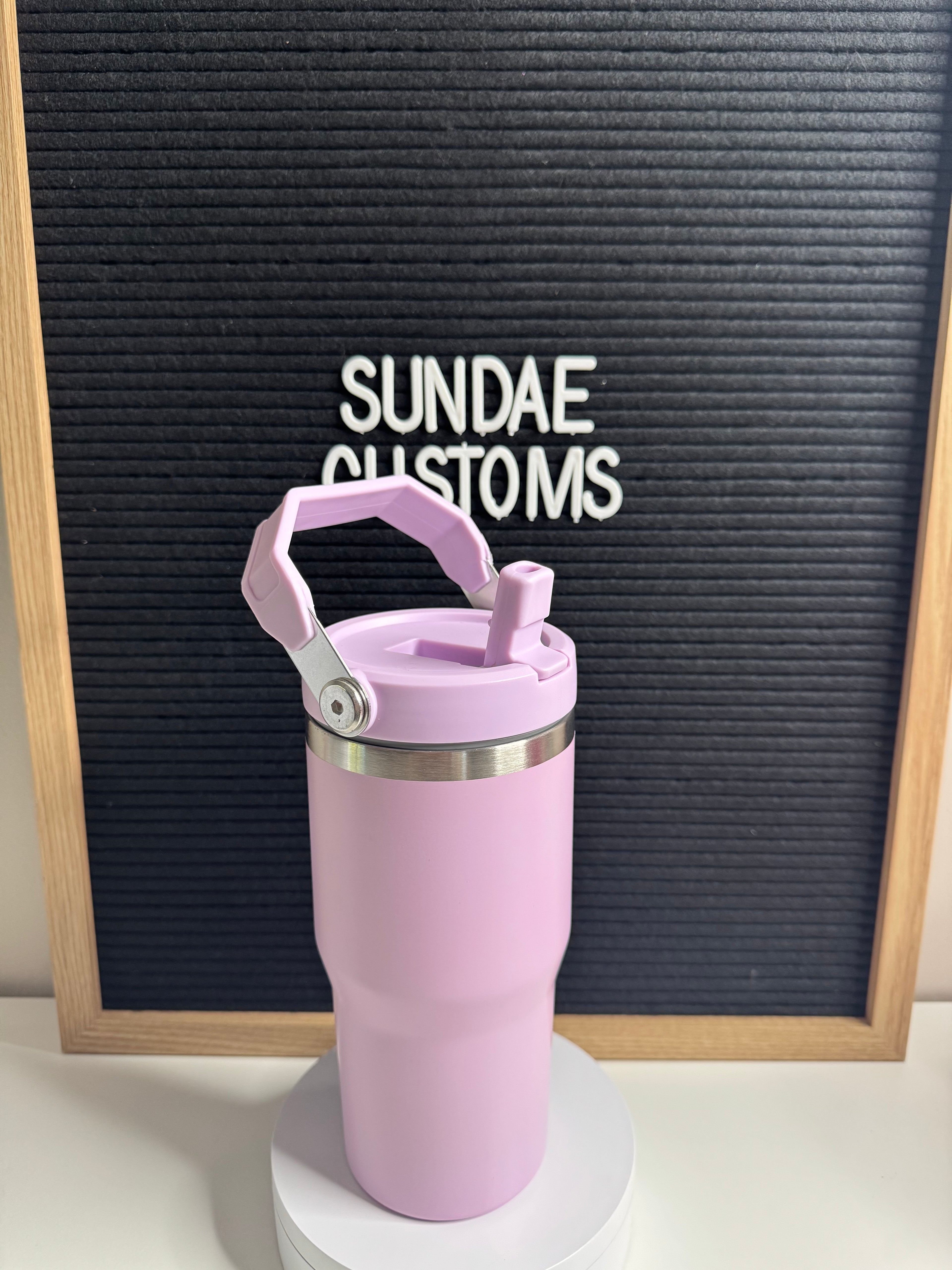 20oz Stainless steel handle water bottle
