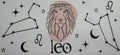Leo 16oz Uv DTF Wrap