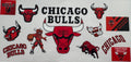 Chicago Bulls 16oz Uv DTF Wrap
