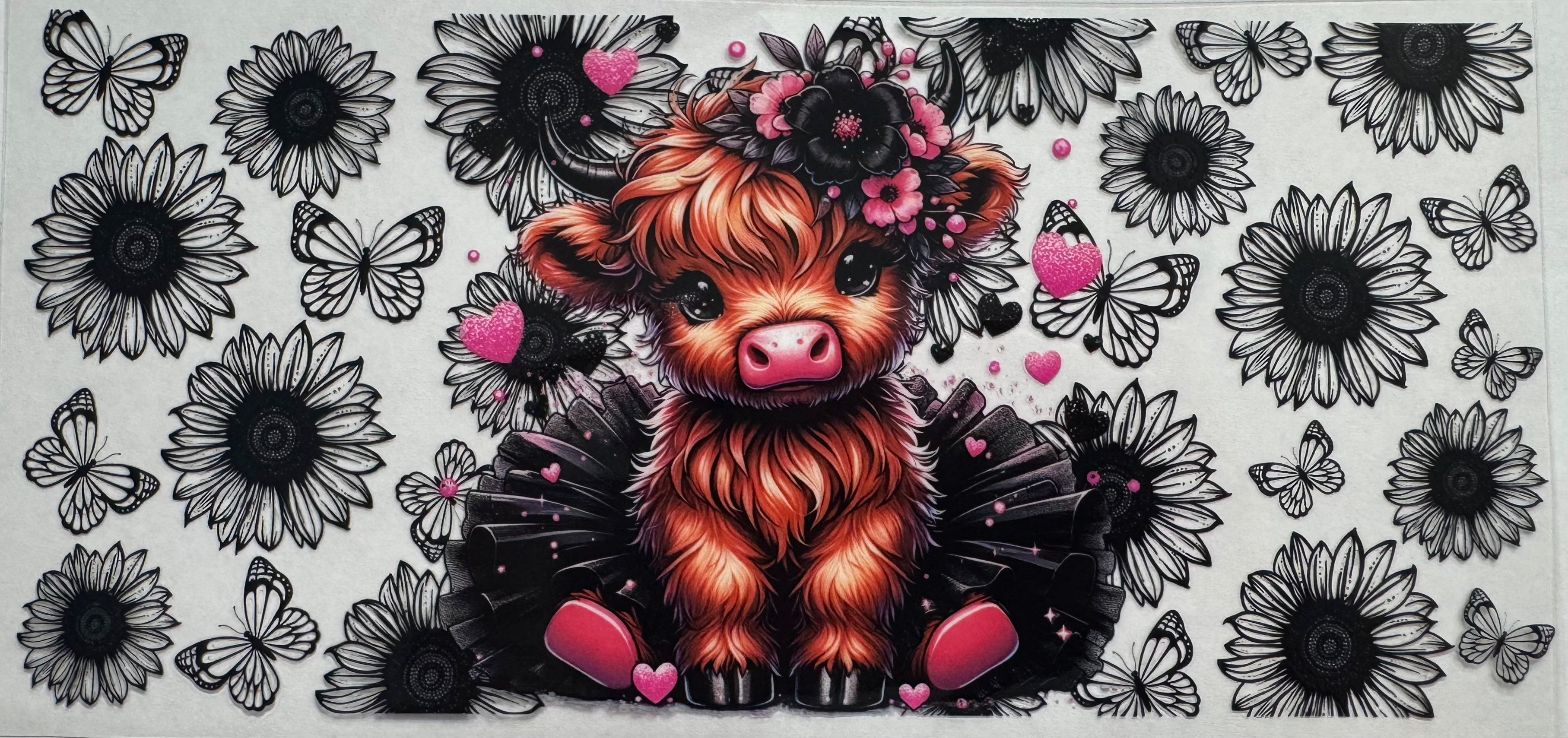 Black Tutu highland cow