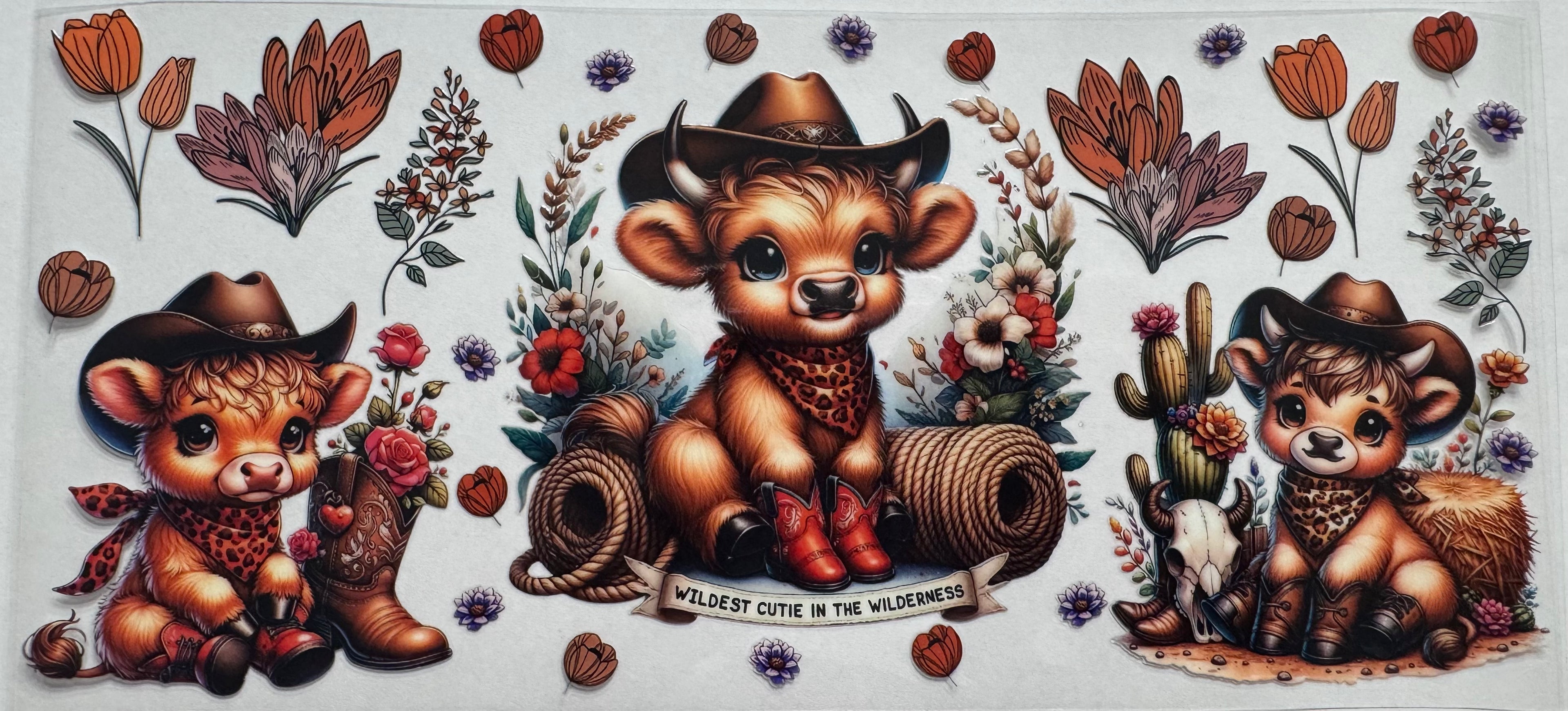 Country highland cow 16oz Uv DTF Wrap