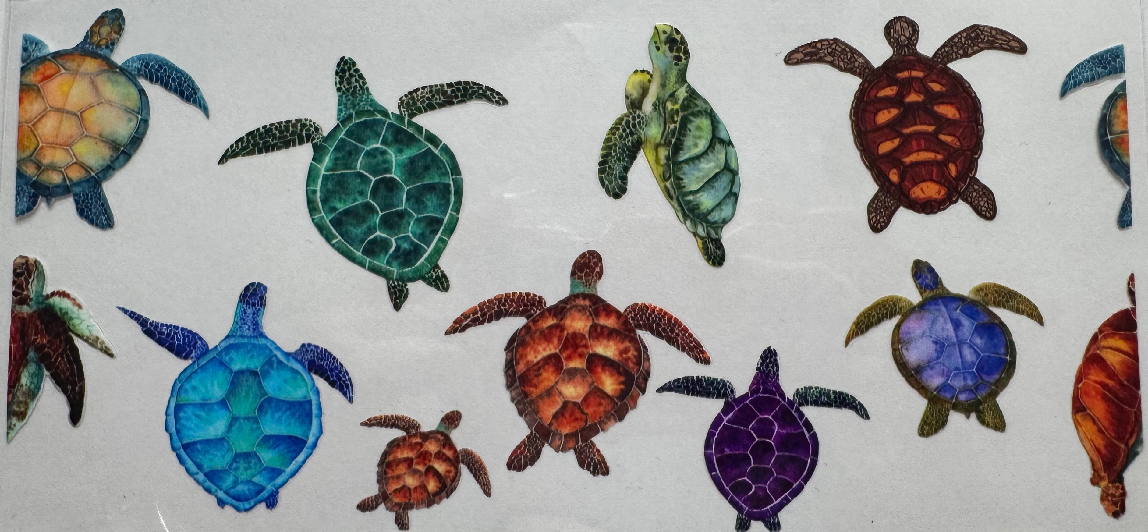 Colourful Turtles 16oz Uv DTF Wrap