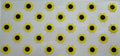 Yellow flowers 16oz Uv DTF Wrap