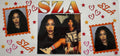 Sza 16oz Uv DTF Wrap