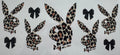 Leopard Print Playboy with black bows 16oz Uv DTF Wrap