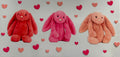Pink Jelly cats 16oz Uv DTF Wrap