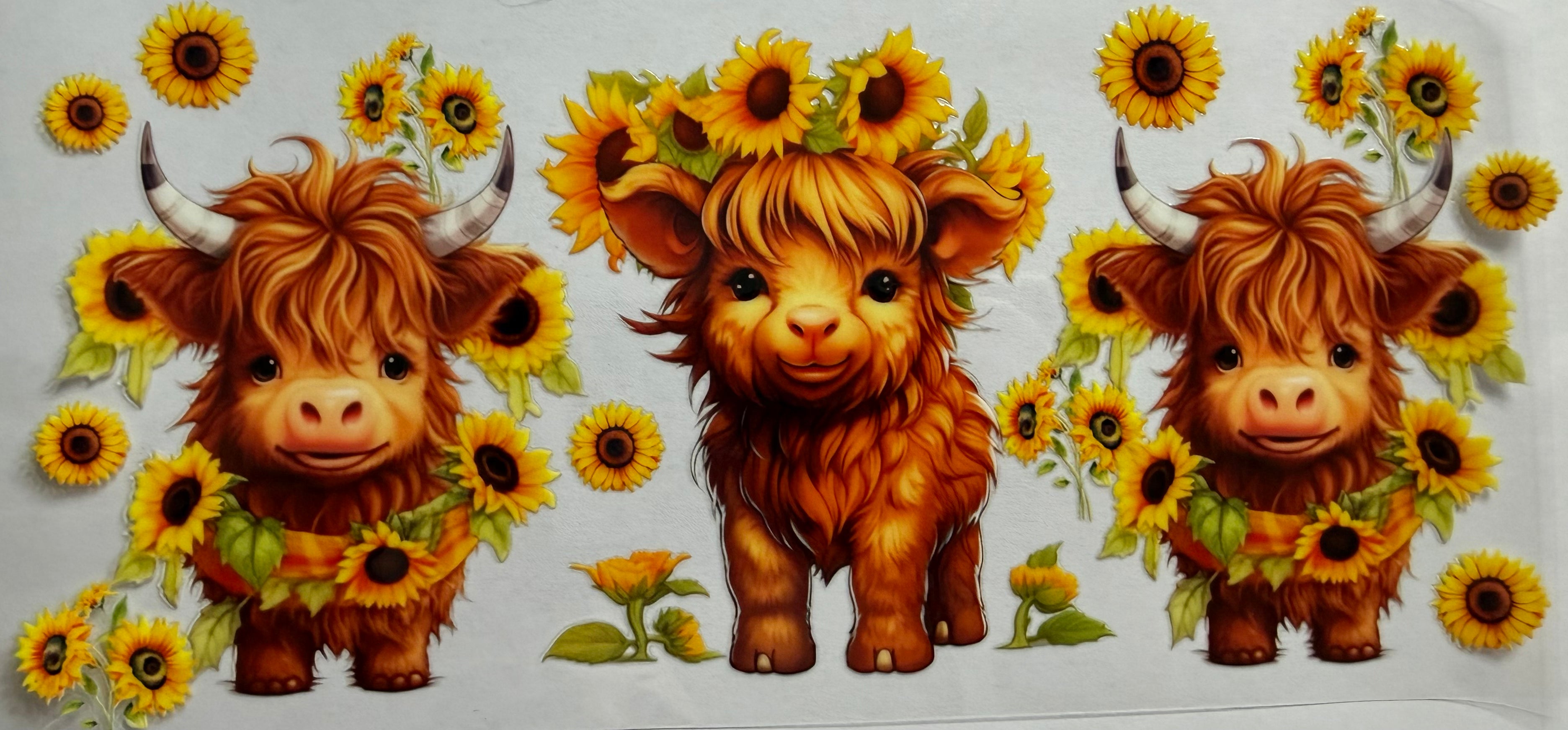 Highland Cows 16oz Uv Dtf Wrap